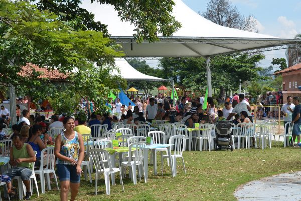 festa-novelis-25