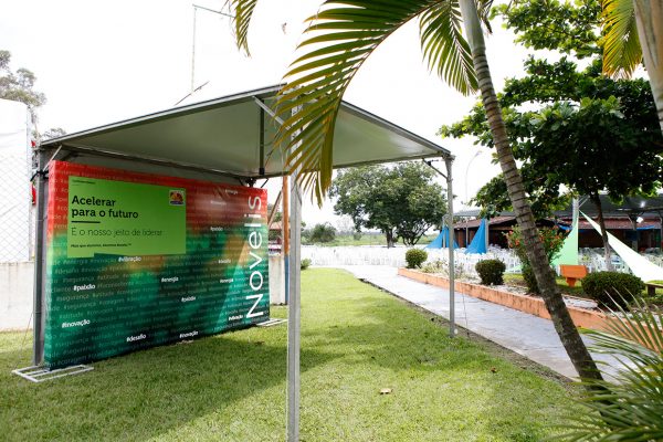 festa-novelis-6