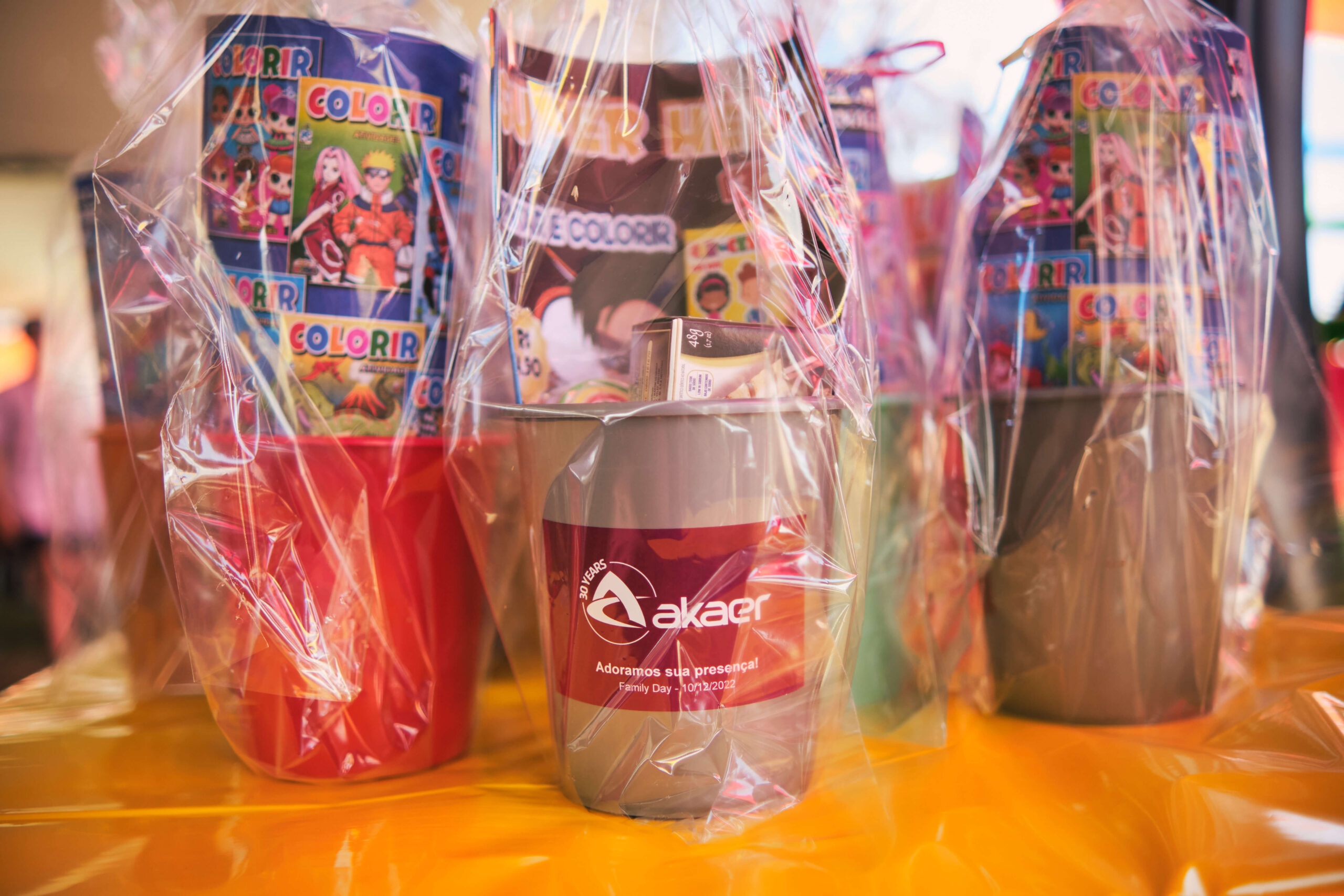 destaques_akaer---family-day-206